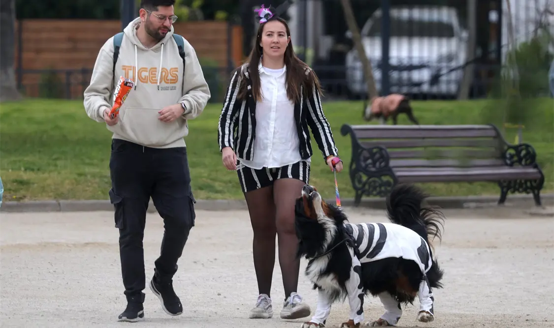 La iniciativa precisa que no todo acto de maltrato animal constituiría automáticamente violencia familiar. Cortesía