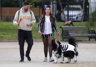 Reconocer violencia familiar a través de animales Reconocer violencia familiar a través de animales