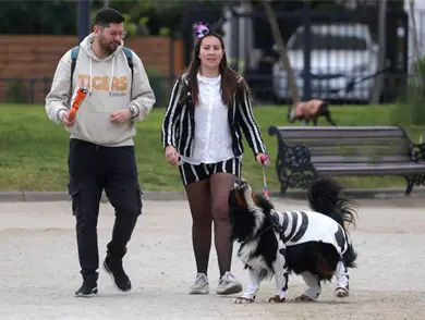 Reconocer violencia familiar a través de animales
