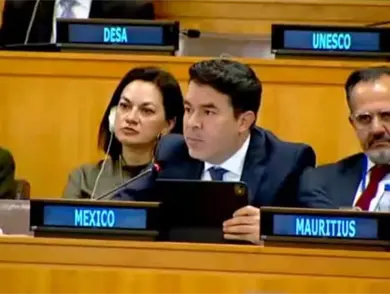 Defienden ante ONU estrategia contra desapariciones