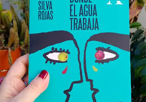 Almadía suspende promoción de novela