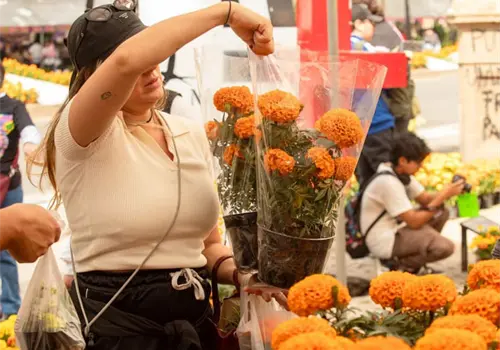 Festival de Flores de Cempasúchil