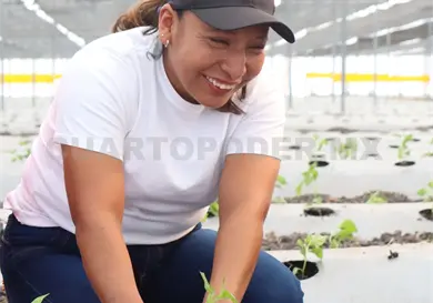 Garantizan convocatorias abiertas apoyo al campo