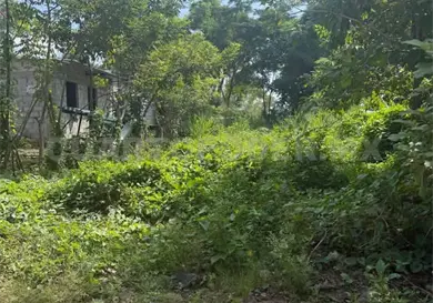 Denuncian invasión en márgenes del río Coatán
