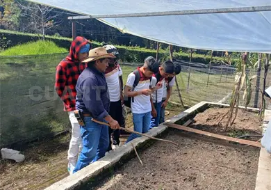 Fortalece CECyT 44 Natiltón formación forestal