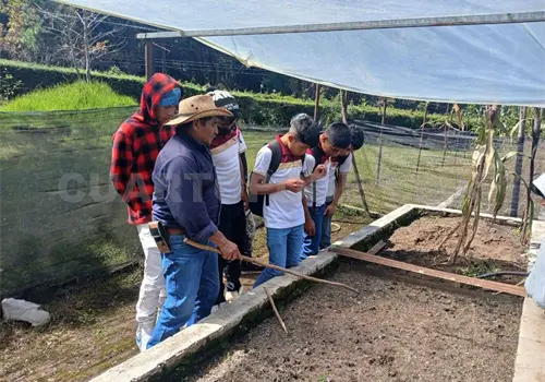 Fortalece CECyT 44 Natiltón formación forestal