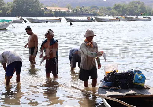 Realizan asambleas informativas con las y los pescadores 
