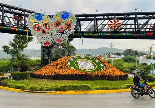 Reloj floral, el cempasúchil y la escasez