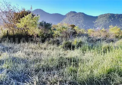 Se registra la primera helada en el Valle de Jovel Se registra la primera helada en el Valle de Jovel