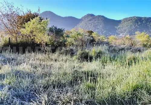 Se registra la primera helada en el Valle de Jovel Se registra la primera helada en el Valle de Jovel
