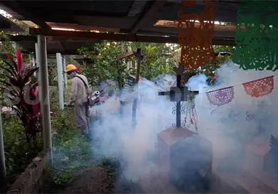 Fumigan panteones del Soconusco Fumigan panteones del Soconusco