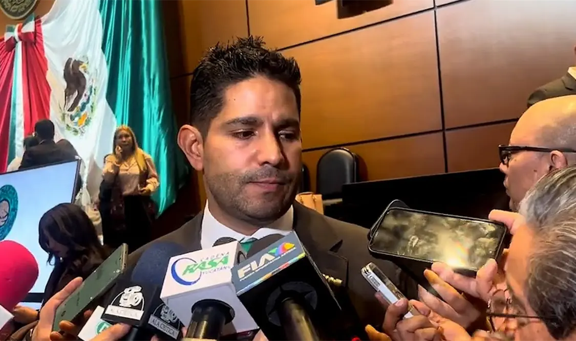 Irregularidades en el INE durante la presidencia de Taddei tendrán un informe detallado: Jorge Herrera Borunda. Cortesía